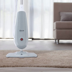 Steam Mops - Products