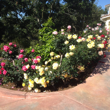Landscape Maintenance