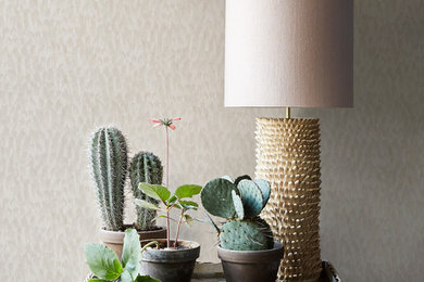 Wallpaper collection by Designed for Living - Volume I