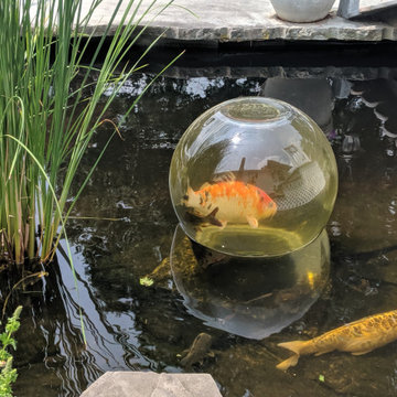 Koi Ponds