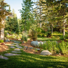 Backyard Solutions