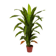 plantz