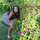 Susan Howk