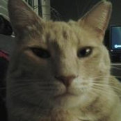 Abby Eiden Hillenbrand's photo