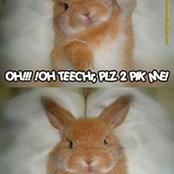 Foto von Ann Courtright
