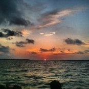 Brian Dole's photo
