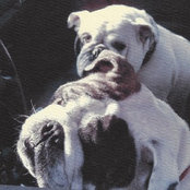 Foto von rumpole26