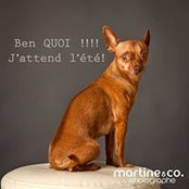 Foto de Martine Clairoux