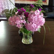 Kimberlee Hall's photo