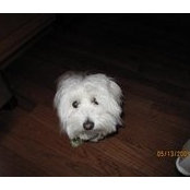 Susan Richter's photo