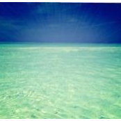 Megan Villa's photo