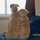 lynn_norberg