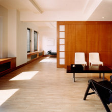 dividing wall