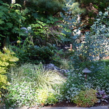 Zen Garden Retreat