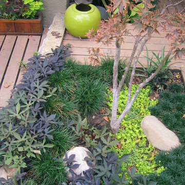 Secret Sanctuary Garden