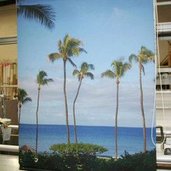 Custom Printed Roller Shades - Roller Shades
