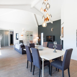 トゥールーズの広いモダンスタイルのLDKの画像 (白い壁、標準型暖炉、グレーの床)