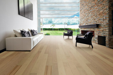 Moderno Collection