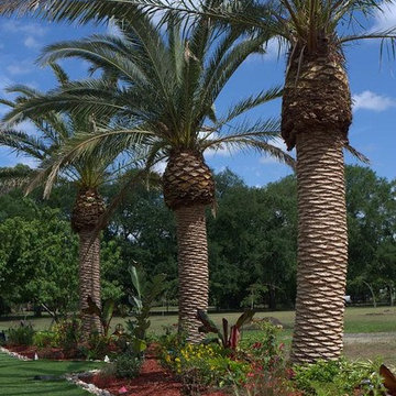 Synthetic Artificial Grass Installation