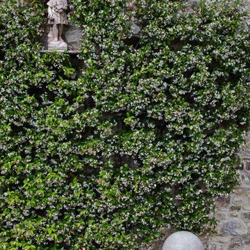 Chianti retreat