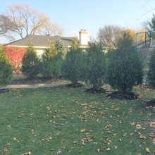 Garden/Landsape