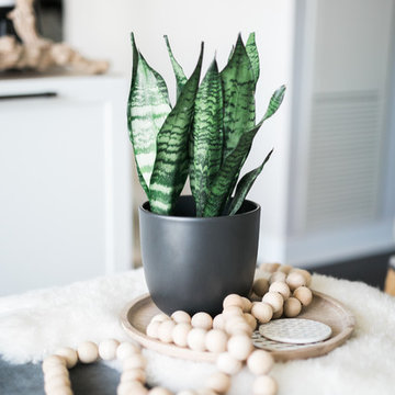 Toronto Condo | Featured on The Glitter Guide