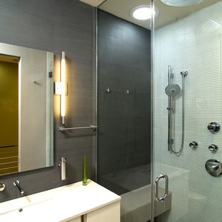 Example of a trendy home design design in DC Metro