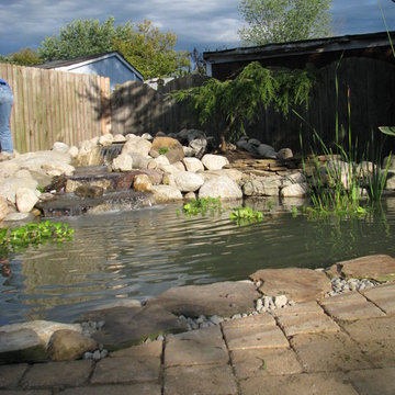 Casella Pond Renovation