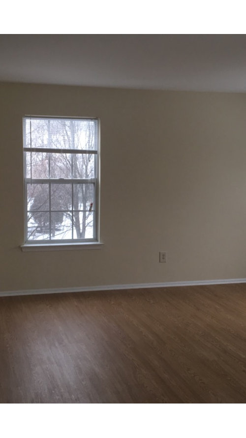 Where should I put my TV?