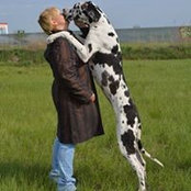 Anna Ermolaeva's photo