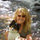 Linda Johnson