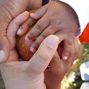 Kristela Katro's photo