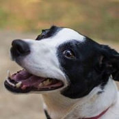 Jay Pittman's photo