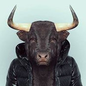 Mocanu Viorel's photo