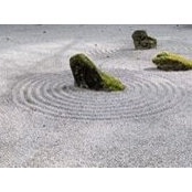 Tien Nguyen's photo