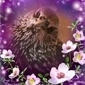 Poppy Dragonetti's photo