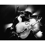 Cindy Brosman's photo