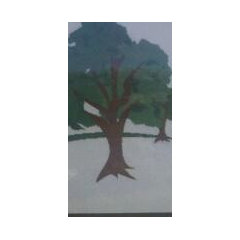 JP Trees and Landscaping