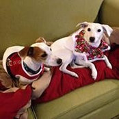 Holly Granda's photo