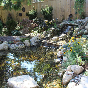 Backyard Pond