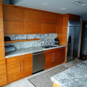 Chicago Condo Renovation - Kitchen