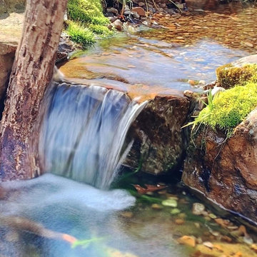 Section Line Pond