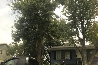 Tree Removal and Tree Trimming in Fairborn