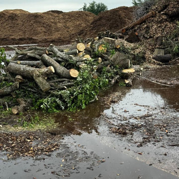 Morales Tree Services