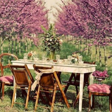 Landscape Ideas