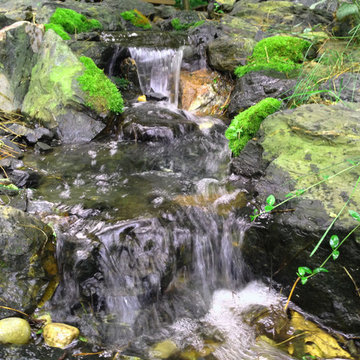 Saugatuck Pondless Disappearing Waterfal