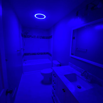 Blue Bathroom