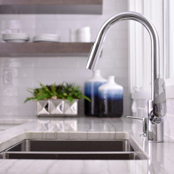 Focus Kitchen Faucet