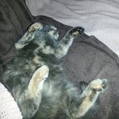 Giuliana Brogna's photo