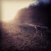Gina Bugslag's photo